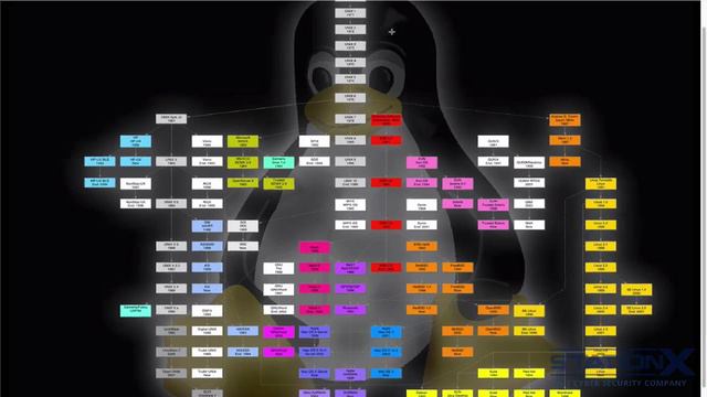 061. Linux- и Unix-подобные операционные системы смотреть онлайн