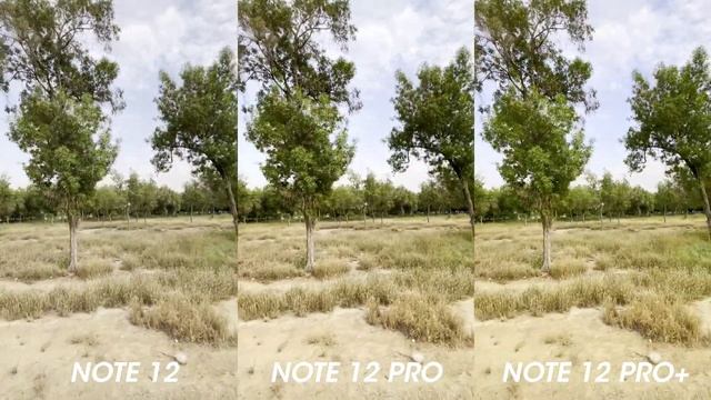Redmi Note 12 vs Redmi Note 12 Pro vs Redmi Note 12 Pro Plus Camera Test смотреть онлайн