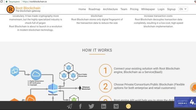 Root Blockchain 'ICO' Review (RU) | Видео-Обзор смотреть онлайн