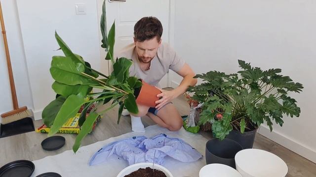 В поисках цветочных сокровищ. Гран Канария. Март 2021. смотреть онлайн