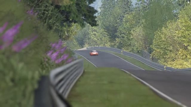 Porsche 911 Carrera RSR 3.0|Assetto Corsa смотреть онлайн
