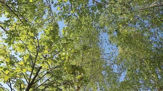 Радоница| Важно знать| Память предков| Усиливаем род