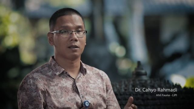 Borobudur: Lalitavistara Flora Fauna Relief смотреть онлайн