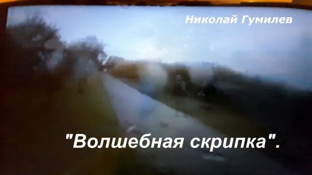 ВОЛШЕБНАЯ СКРИПКА Николай Гумилев смотреть онлайн