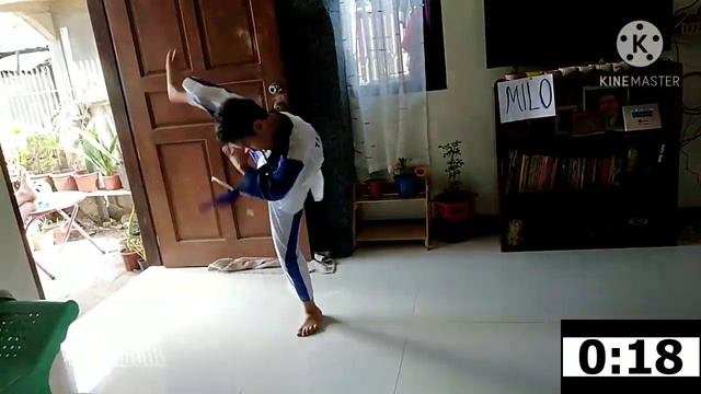 JIAN ZYL C. ONG, D'DRAGON TAEKWONDO, BLUE BELT смотреть онлайн