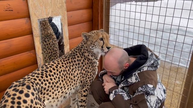 "Свет мой, зеркальце, скажи.." Герде повесили зеркало смотреть онлайн
