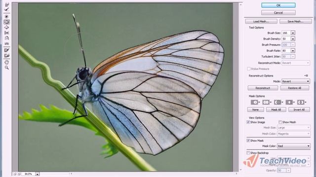 Пластика в Adobe Photoshop (4/20) смотреть онлайн