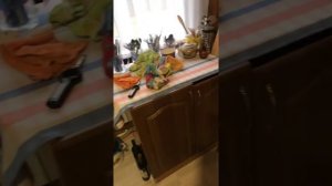 Твёрдо топливный котёл Купер про 28