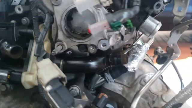 Ford 2.0l Duratorq Fuel Pump Timing Guide