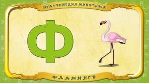 Мультипедия животных  Буква Ф   Фламинго