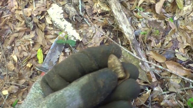 Metal Detecting & Sifting Finds Civil War Cartridge BOX? BULLET HOARDE? You Be The Judge.