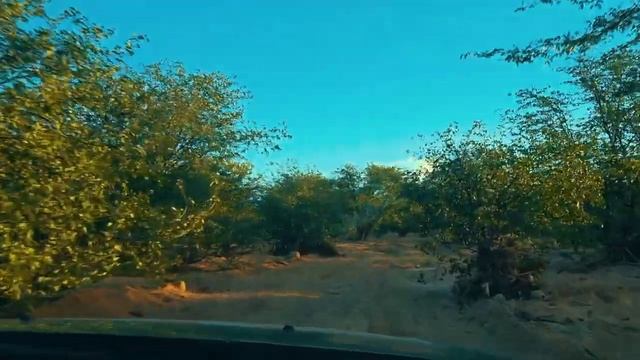 18+ Дикие племена Африки  ГОЛОЕ племя Химба  НАМИБИЯ  Реальная АФРИКА