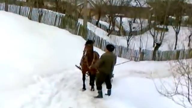 tipic moldovenesc mori de ras смотреть онлайн