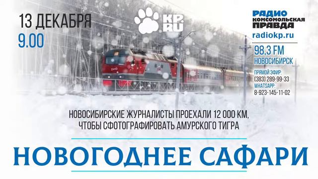 12 тысяч километров ради встречи с Амурским тигром смотреть онлайн