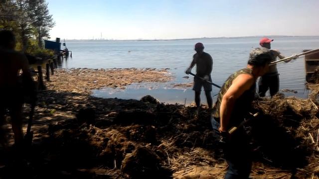 темиртау зона отдыха лпц-3 уборка камыша июль 2015 год смотреть онлайн