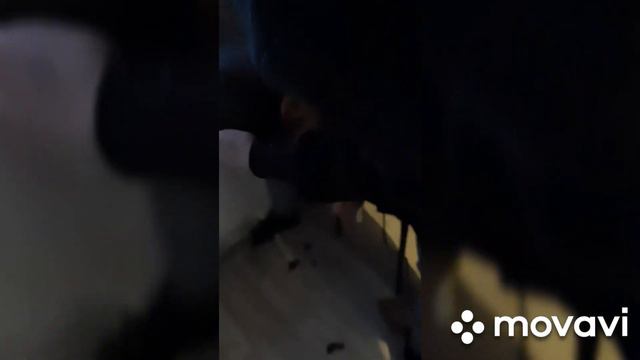 Постригли, оболванили смотреть онлайн