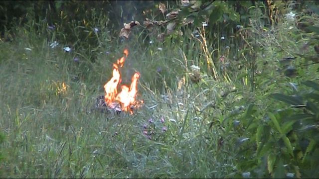 Уходя уходи. Авторское исполнение. Тем, кту уехал за границу, кто за чем. смотреть онлайн