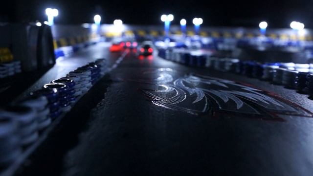 Гоночная трасса с машинками на пульте управления