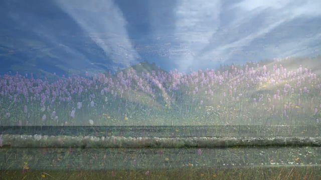 Los Lirios del Campo. Música Católica. Gladys Garcete смотреть онлайн