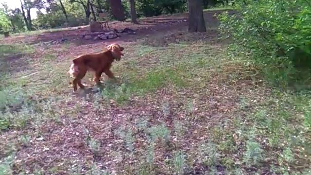 22.05.18 Север, парк - 2