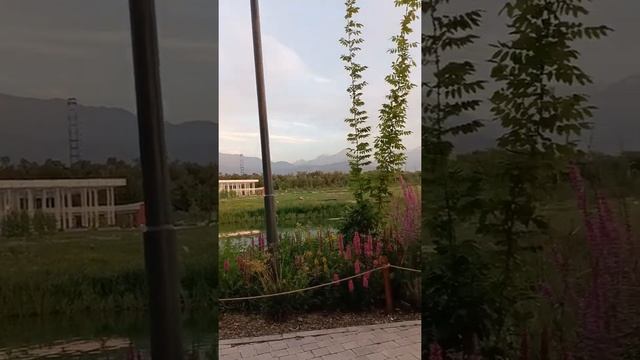 Алматы, ботанический сад смотреть онлайн