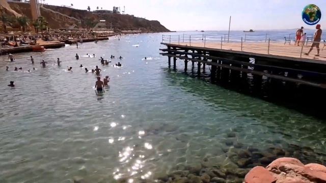 Пляж отелей сети Albatros, бухта Шарм Эль Майя. Обзор пляжа и кораллового рифа смотреть онлайн