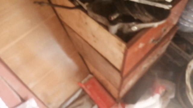 Муравей ожил! Дело в зажигании смотреть онлайн