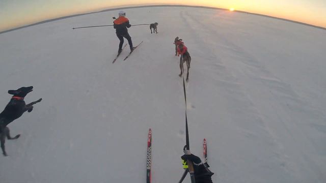 Скиджоринг, Саган и Руна смотреть онлайн