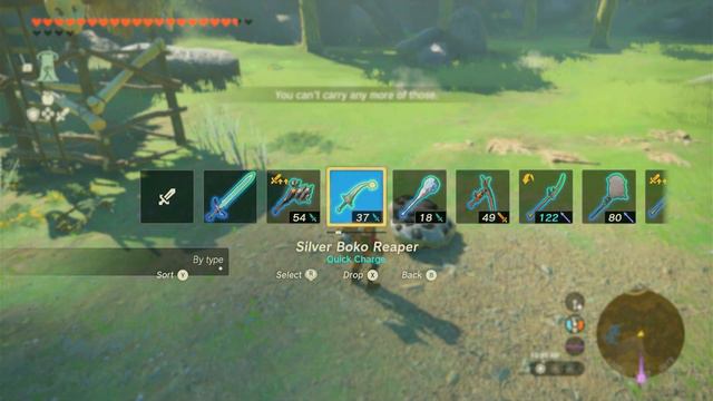 Treasure Chest, Forest of Spirits | The Legend of Zelda: Tears of the Kingdom смотреть онлайн