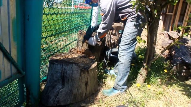 клумбы из пеньков/ сад-огород/ stump flower bed / Russian village смотреть онлайн