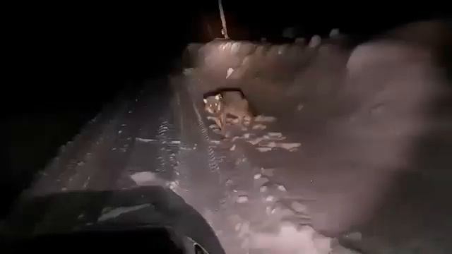 Волк-странник смотреть онлайн