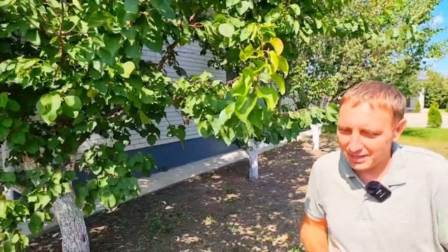 ПЕРЕЕЗД НА ЧЕРНОЕ МОРЕ. АНАПА-ГОСТАГАЕВСКАЯ. ЗАКРЫТЫЙ КОТТЕДЖНЫЙ ПОСЕЛОК И ЛУЧШИЕ ПЛЯЖИ смотреть онлайн