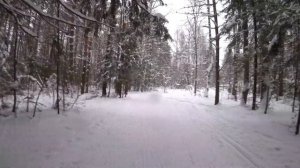 Учимся кататься на лыжах. Коньковый ход. День первый.