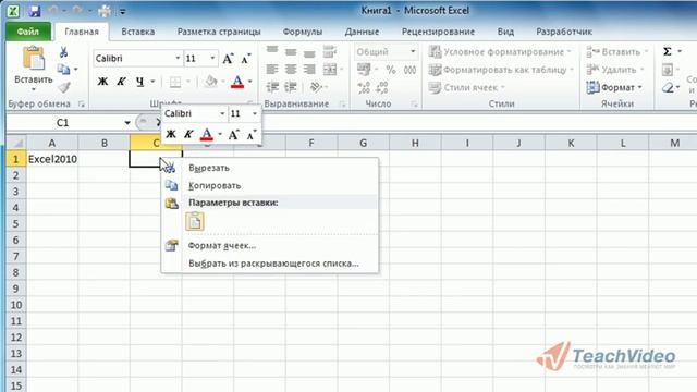 Ввод данных в Microsoft Office Excel 2010 (11/50) смотреть онлайн