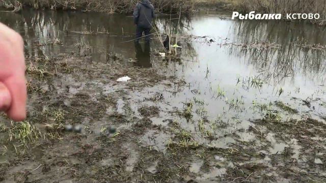 ЛОВЛЯ В РУЧЬЕ плотва пошла на нерест смотреть онлайн