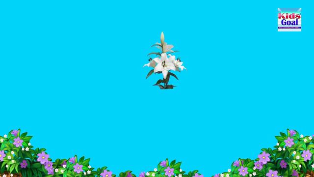 Top Flower Names Beautiful  Flower Names Top Flowers In The World