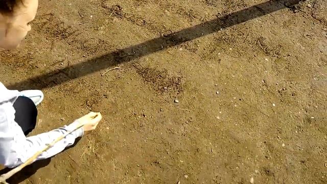 нет листка, не проблема смотреть онлайн