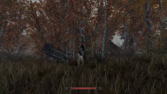 Skyrim carriage passenger betrayed by physics (I hope she has full coverage) смотреть онлайн