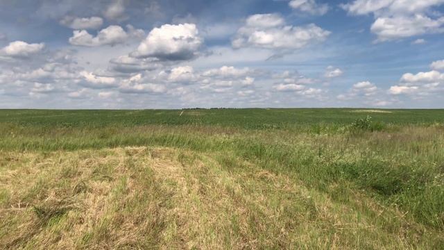 В 25 лет бросили все и уехали жить в деревню. Деревенские будни.Хутор за участком.На пенсию в 25 ле смотреть онлайн