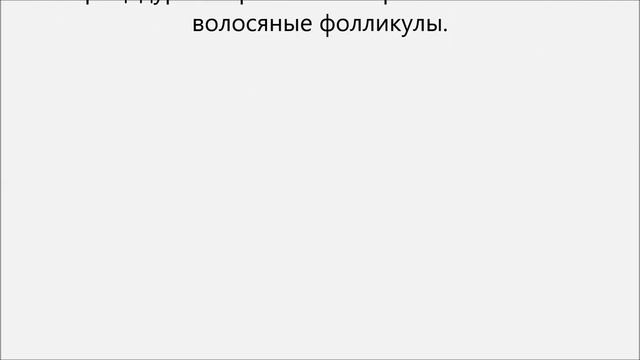 Как брить лобковые волосы смотреть онлайн