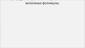Как брить лобковые волосы