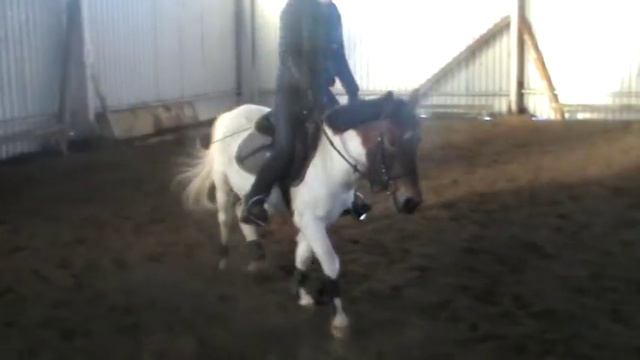 Пинки Пай 170317 Продается смотреть онлайн