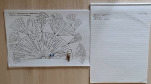 Быстрая работа по Л. Г. Пучко - Многомерная медицина - Как работать при отсутствии помех - Видео №4