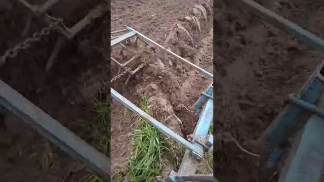 Пахота самодельным плугом с предплужником (30) смотреть онлайн