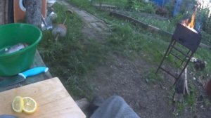 Рецепт Карасей на мангале. С ХРУСТЯЩЕЙ КОРОЧКОЙ, СУПЕР ВКУСНО!