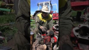 как поставить кольца поршень на пускаче ремонт трактора ЮМЗ