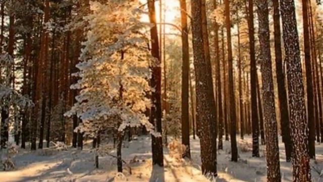 ГИМН ОЛИМПИАДЫ 2014Г смотреть онлайн