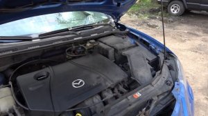 Промывка двигателя димексидом Результат спустя 1,5 недели