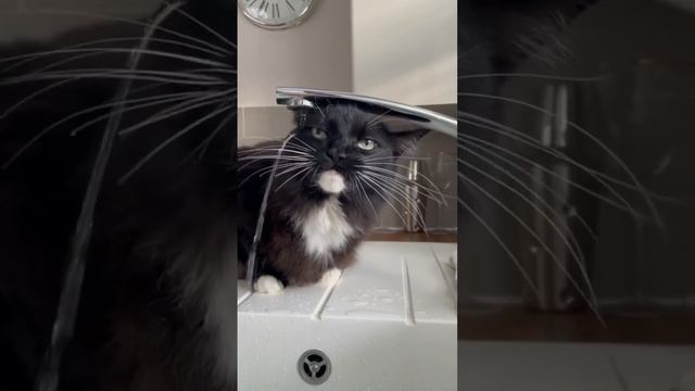 Понедельник, утро смотреть онлайн