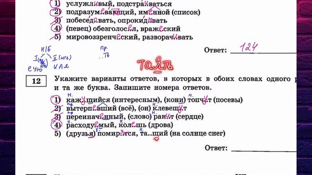 28 вариант | ЕГЭ по русскому языку | Сборник Дощинского-Цыбулько